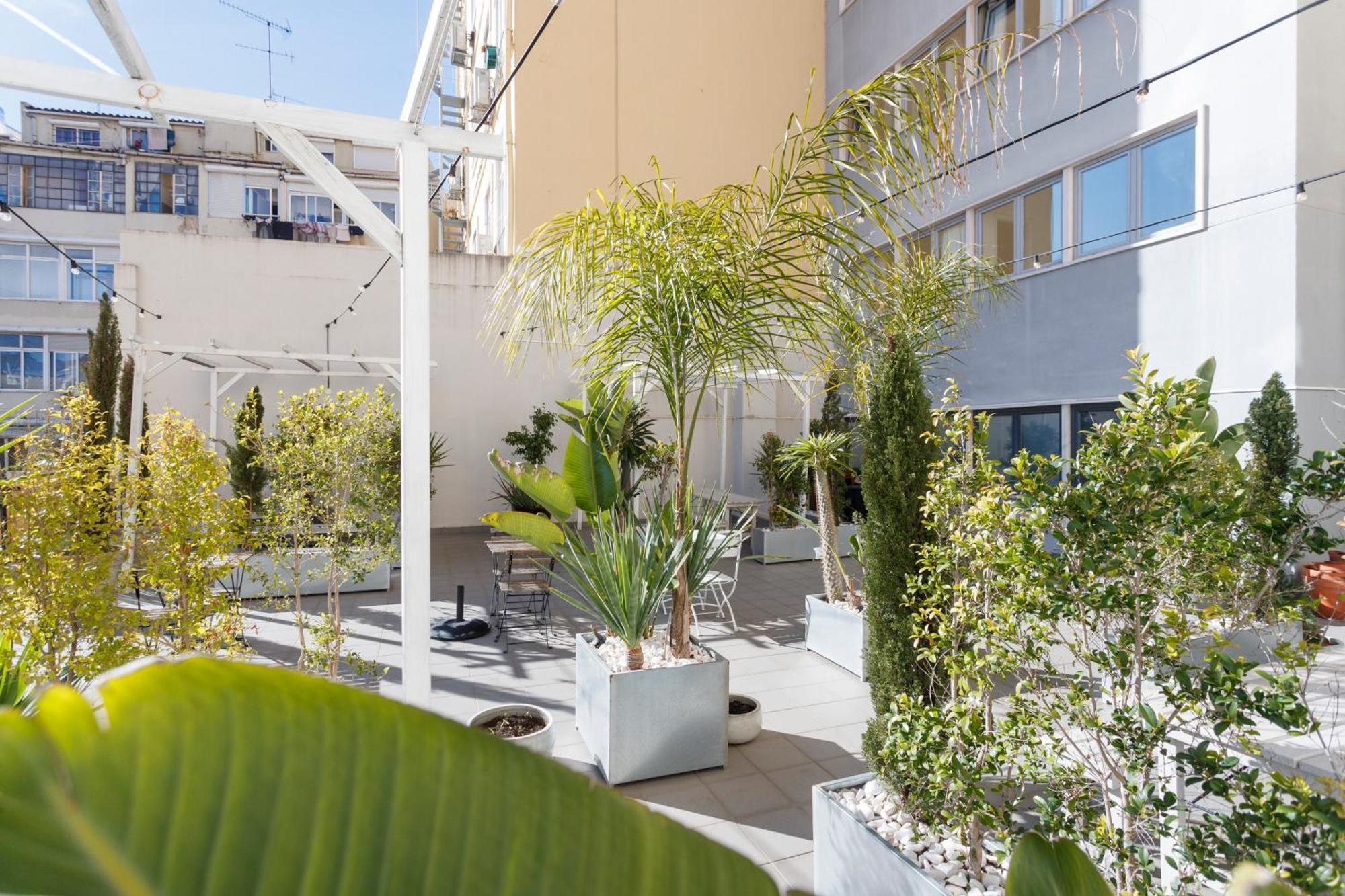 Mojito Breeze In Lisbon By Misha'S Place 3C Esterno foto