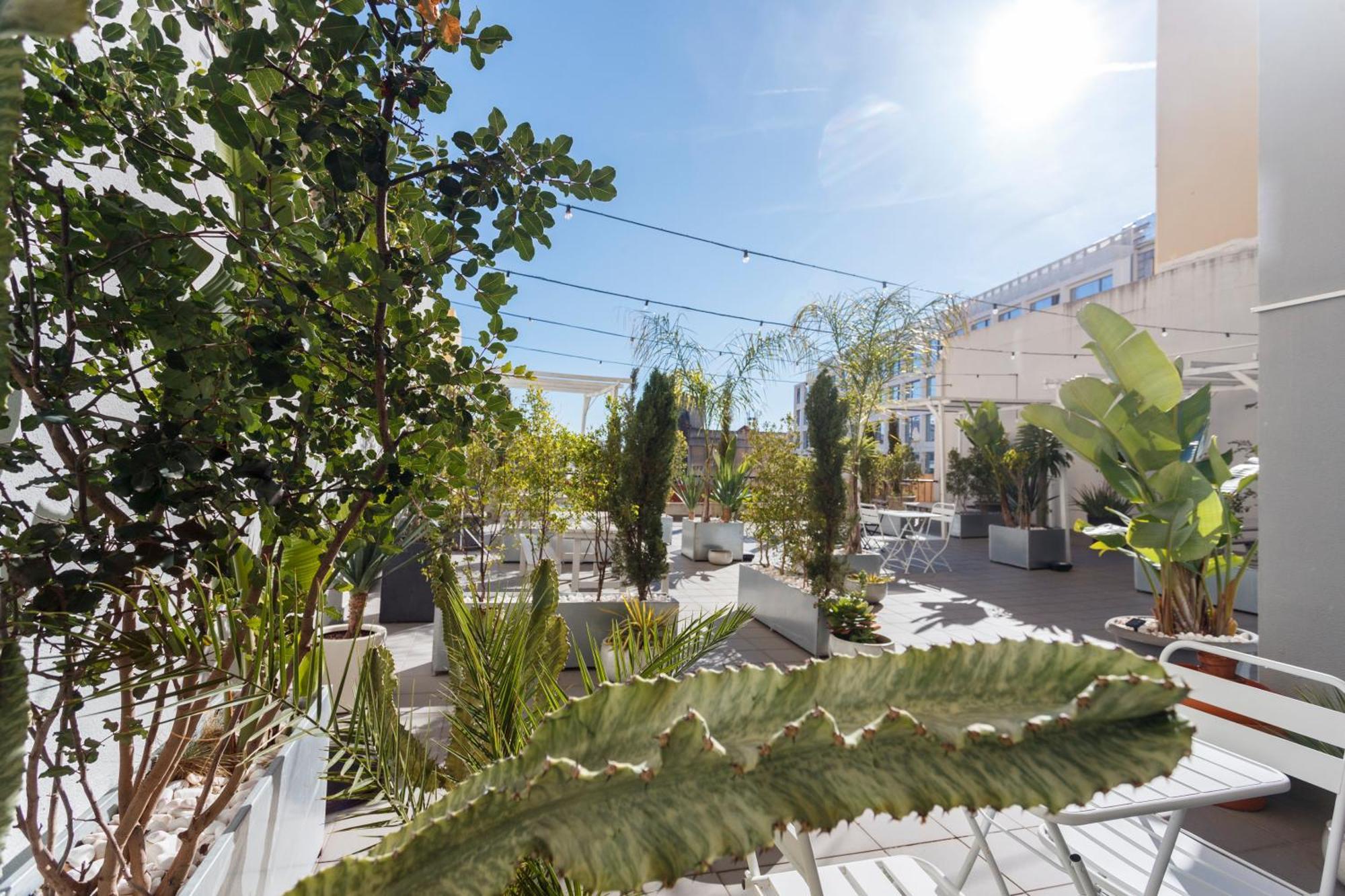 Mojito Breeze In Lisbon By Misha'S Place 3C Esterno foto